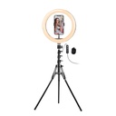 ARO DE LUZ ARGOM ARG-LP-9320BK 10" SPOTLIGHT PRO 9320 *TRIPODE 1,6M *CONTROL BLUETOOTH