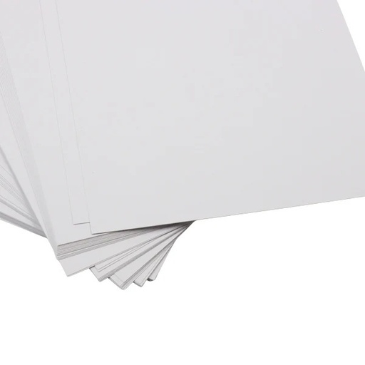 [7443008960175] CARTULINA BRISTOL CARTA 100 UNIDADES